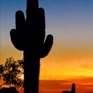 Meet your Posher, Phong